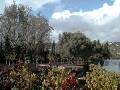 Park