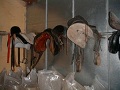 Horse Stable