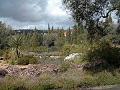 Park
