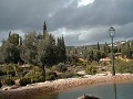 Park