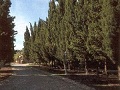 Drive-up