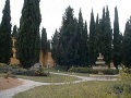 Frontgarden